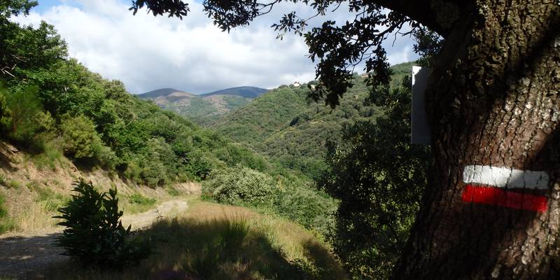 Col de Pierre Plantée - Km 57